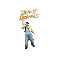 Sweet Dreams Night Sticker