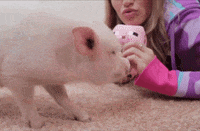 get your billion back h&r block GIF by Billion Back Records