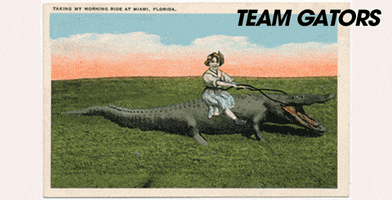 Lady Gator GIF by RPA_Advertising