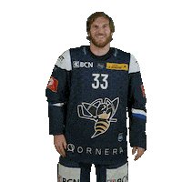 hcclachauxdefonds hockey stefan 33 hcc Sticker