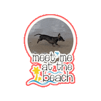 milagency beach dogs meeting dogsofinstagram Sticker