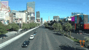 Las Vegas Summer GIF by The Goat Agency