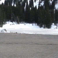 See Ya Goodbye GIF by Pit Viper
