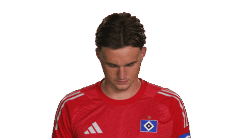 Look Up Hamburger Sv Sticker by Bundesliga