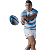 Argentina Rugby Sticker by icbc