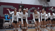 Volleyball GIF by Colgate Athletics