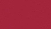 Charroslmb2025 GIF by Charros de Jalisco