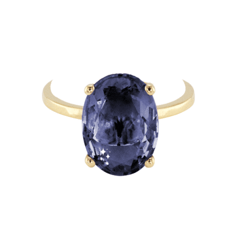 Gold Ring Sticker by The SISS BLISS