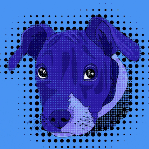 conorbrewster dog dogs pitbull pitbulls puppy puppie cute animals GIF