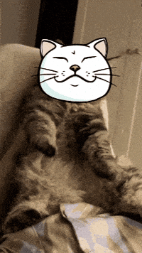 Dance Cat GIF by ShiroNeko