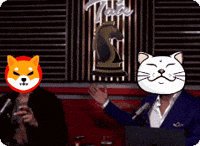 Cat Kitty GIF by ShiroNeko