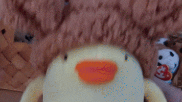 chick people PIYO FOX  dance