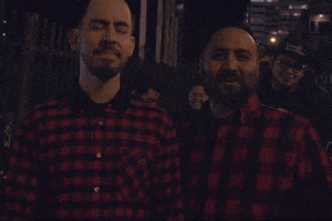 twins fail GIF by Mike Shinoda