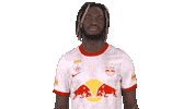 Celebration Rbs Sticker by FC Red Bull Salzburg
