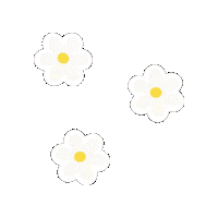 TaPoteFreelance flowers tpf marguerites tapotefreelance Sticker