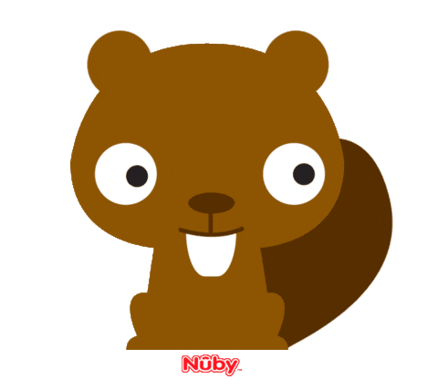 Baby Nubybaby Sticker by Nuby USA