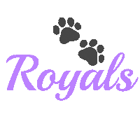 Sparkles Cheerleaders Sticker by Royals Cheer Uk