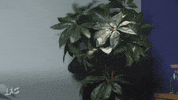 ifc funny comedy 90s 80s GIF