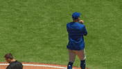 Blue Jays Baseball GIF by Toronto Blue Jays