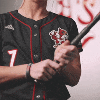 University Of Louisville Softball GIF by Louisville Cardinals