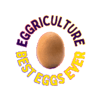 Egg Mumbai Sticker by Eggriculture