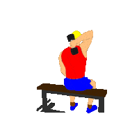 Workout Gym Sticker