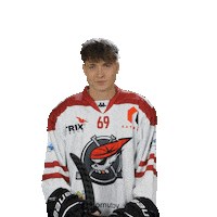 Společně Sticker by Piráti Chomutov