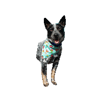 World Of Warcraft Wow Sticker by Geekster Pets