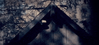 music video bahari GIF by Interscope Records