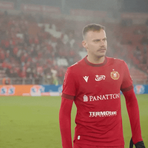 Silva Rts GIF by Widzew Łódź