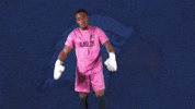 Goalkeeper Keeper GIF by Carson-Newman Athletics