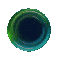 Black Sticker by Havan Oficial