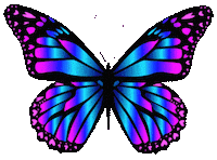 Blue Butterfly Sticker