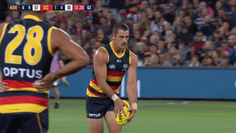 taylor walker celebration GIF by Adelaide Crows