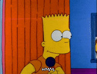Season 3 Episode 13 GIF by The Simpsons