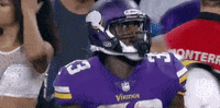 Minnesota Vikings Football GIF by NFL
