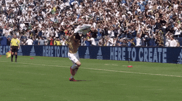celebrate la galaxy GIF by Major League Soccer