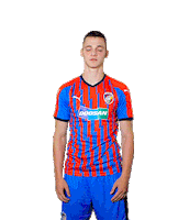 Janosek Sticker by FCVP