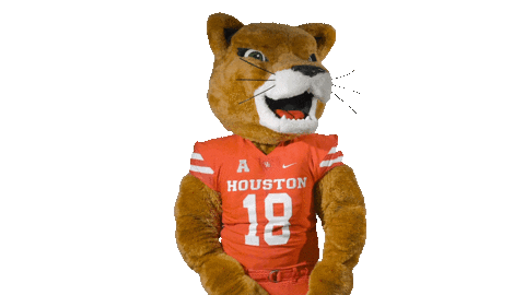 Football Go Coogs Sticker by University of Houston