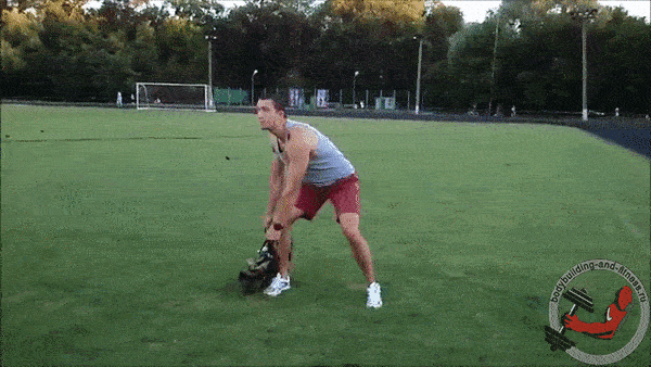 bodybuilding-and-fitness giphyupload GIF