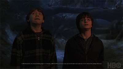 harry potter GIF by HBO