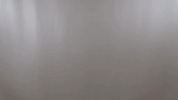 GIF by WJU Cardinals