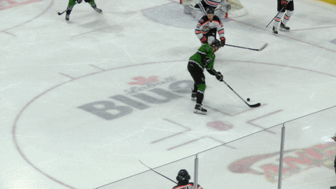 Black Bears GIF by Binghamton Black Bears