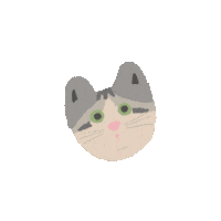 yo___kondo_gif cat cats kitty ねこ Sticker