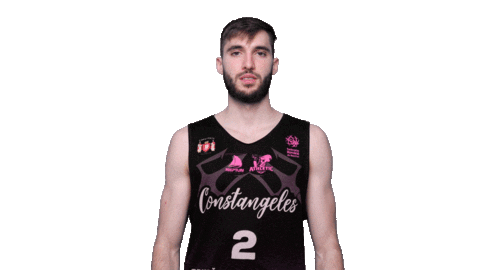 Sport Basketball Sticker by BC Athletic