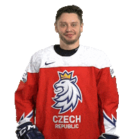 Celebration Hockey Sticker by Národní tým