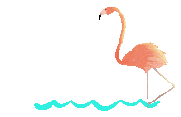 bird ocean Sticker by David Maxine Paper