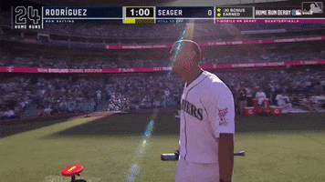 Sport Baseball GIF by MLB
