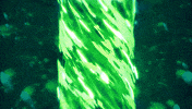 Tbs Splice GIF by RelicEntertainment