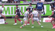 Nrl GIF by Canberra Raiders